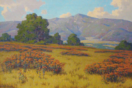John Gamble - California Wildflowers